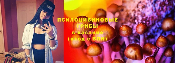 крисы Галич