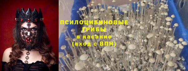 2c-b Нязепетровск