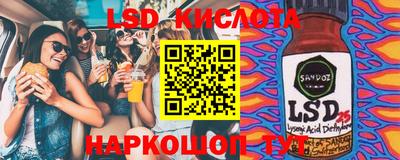прущие крисы Камышлов
