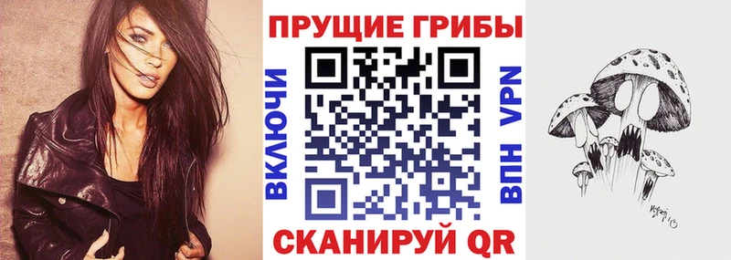 закладки  Новоалександровск  Псилоцибиновые грибы прущие грибы 