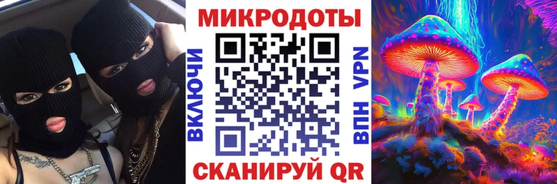 Псилоцибиновые грибы Psilocybine cubensis Новоалександровск