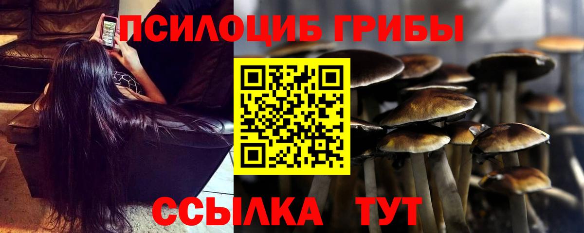 Псилоцибиновые грибы ЛСД Новоалександровск